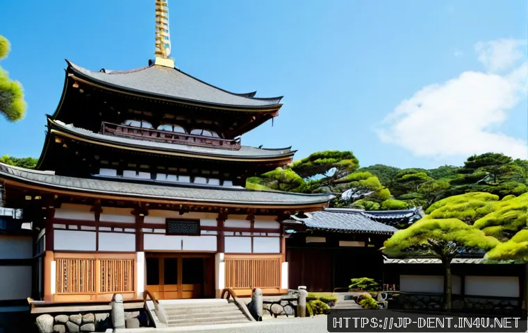 大人の歯列矯正、総額を抑えるには?治療法・追加費用・支払い方の比較ポイント 4 성인 교정 비용 절약 방법 관련 이미지 2